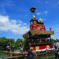 尾張津島天王祭☆朝祭り