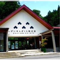 道の駅がいせん桜新庄宿「岡山県真庭郡新庄村」2025