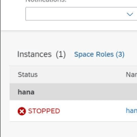 CDS application failed (HANAインスタンス関連) 