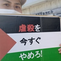 イスラエル軍によるガザ攻撃から半年、「Stop Genocide in GAZA 全国アクション」新潟からも連帯しました。