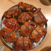 日本で本場「上海蟹」