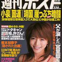 雑誌：『週刊ポスト』2005年6月10日号