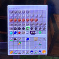 05_今日はマイクラずくしでした。