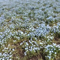 5月の思い出①