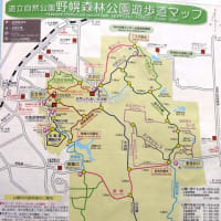 前田森林公園の樹木ウォッチング００１