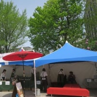 ライラックまつり　札幌