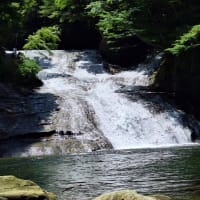 養老渓谷で森林浴