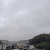 09月23日 雨の後気温上がらず。