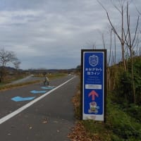 サイクリング・ウォーキング専用道路