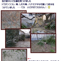 小さすぎる春 & to HEROes のトラック