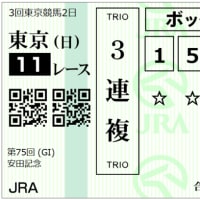２０２５　G1　安田記念　回顧録