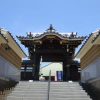 とねるず JR武蔵野線 北朝霞