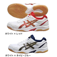 ASICS（アシックス）ローテリブレFL3はどこのお店が一番安いのか？