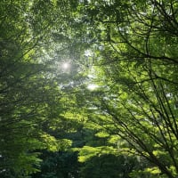 対人関係で観察眼はどう使う？