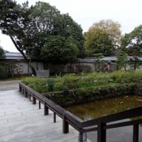 06/23奈良京都への旅-11（法隆寺東院伽藍：夢殿＆中宮寺訪問）
