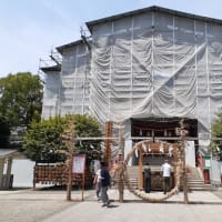 夏越の大祓「亀戸天神」