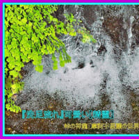 🐉🌈〖洗足流れ〗に可愛い【✨精霊✨】出現❢❢