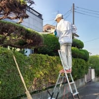 長竹で