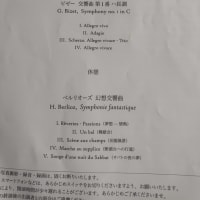 ブルーメンフィルハーモニー定期演奏会　すごい迫力だった