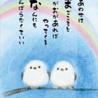 コン爺　グーブログ500日❣️