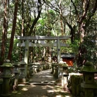 笠山荒神とそば畑