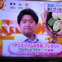 7/8・・・めざましテレビお花プレゼント(明日まて)