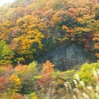 秋のところミュージアム大三島へ