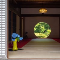 今年も明月院へ