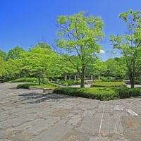 びわこ文化公園