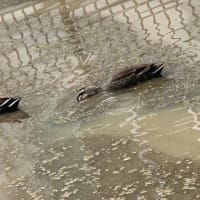 ええー、なになに⁉️