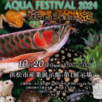 今年も参戦‼️アロワナ・熱帯魚・改良メダカなど多数持って行きます🐟✨