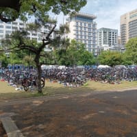 残念無念！横浜トライアスロン2025