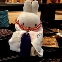 お出かけ親友ミッフィー