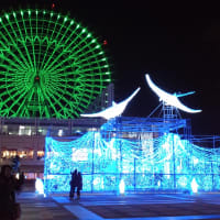 夜の海遊館