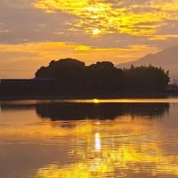 朝の散歩　平池緑地公園　56　6.26～28