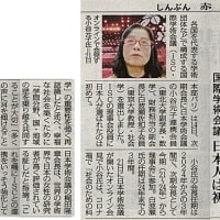 （新版）お魚と山と琵琶湖オオナマズの日々