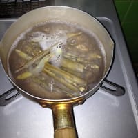 マテ貝取り
