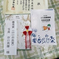 第２８回山口県障害者芸術文化祭表彰式
