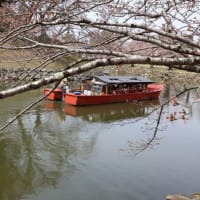 彦根城　城下町をめぐる