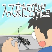 「もう夏だね〜」