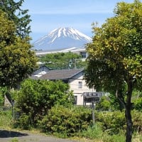 230509_散歩途中で見た富士山