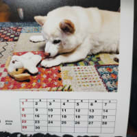 ６月に入りましたね〜