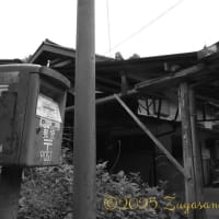 筋肉痛が残る中、番外編...