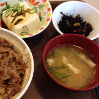 すき家 牛丼 大盛 健康セット 広島食べ歩き日記 すき家 牛丼 大盛 健康セット 広島食べ歩き日記