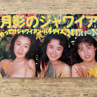 「月影のジャワイアン」Niki-Niki 1992年