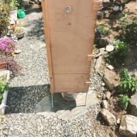 ベーコンを作る