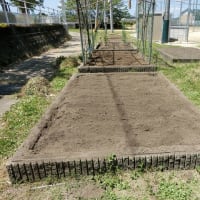 花壇と砂場を耕す