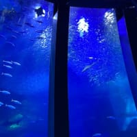 八景島シーパラダイス