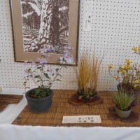 第19回花園公民館まつり