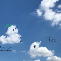 久しぶりに心斎橋♥